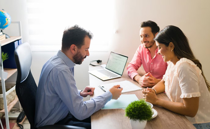 How does an immigration consultant work